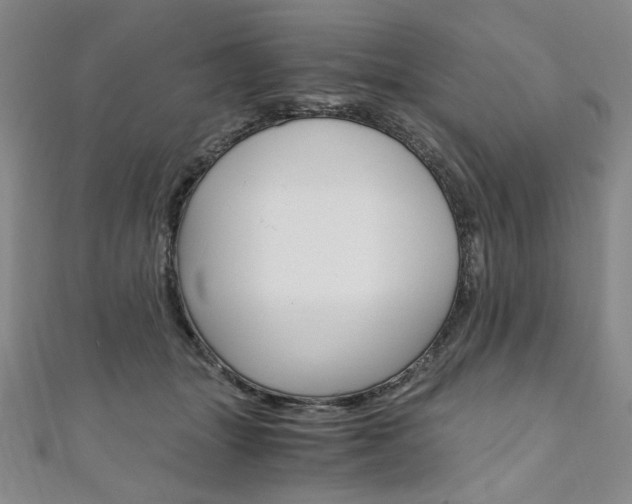 X0000110890463200906181009