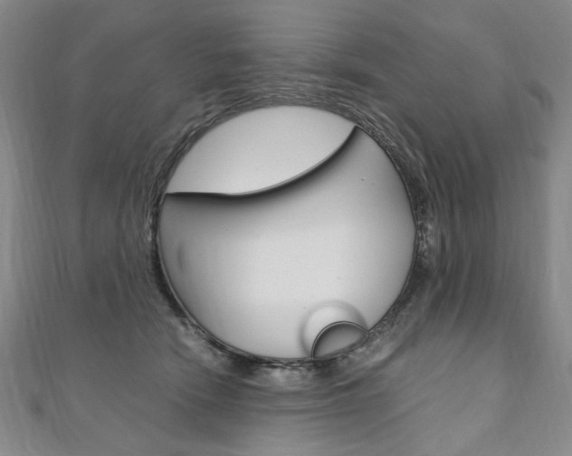 X0000110890466200906181009