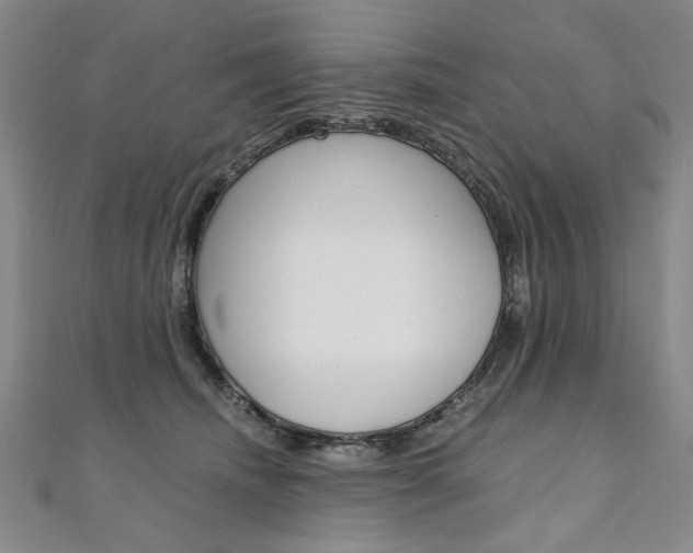 X0000110890468200906181009