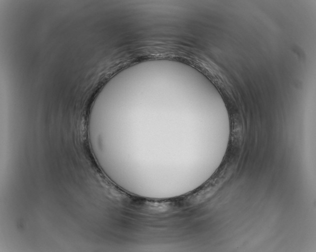 X0000110890469200906181010