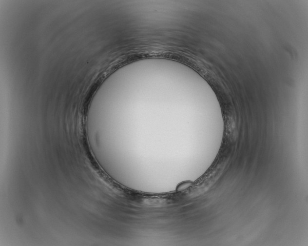 X0000110890470200906181010