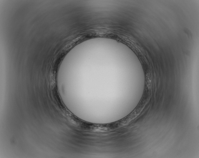 X0000110890471200906181010
