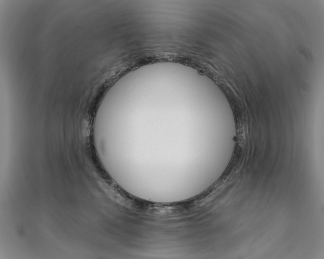 X0000110890472200906181010