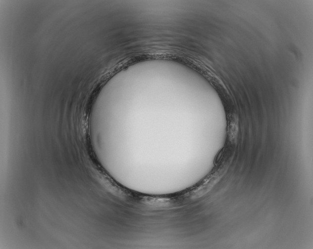 X0000110890476200906181010