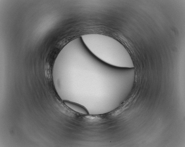 X0000110890477200906181010