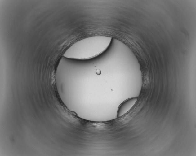 X0000110890478200906181010