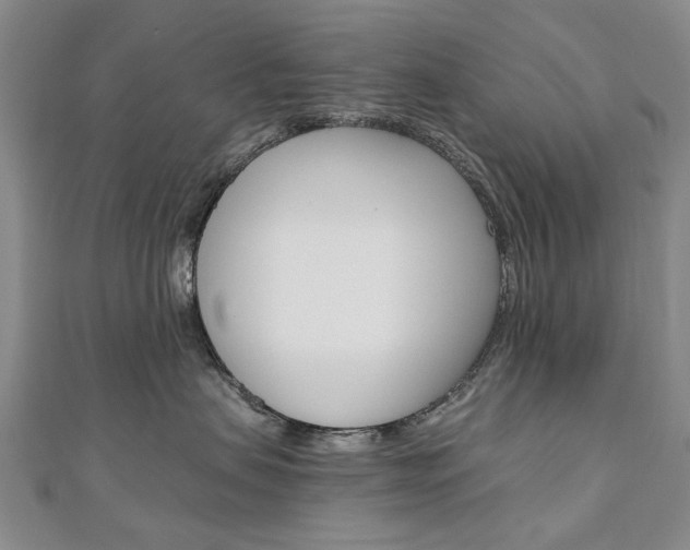 X0000110890479200906181010