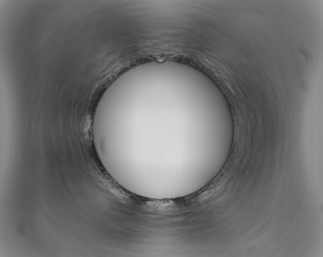 X0000110890480200906181010