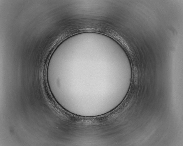 X0000110890482200906181009