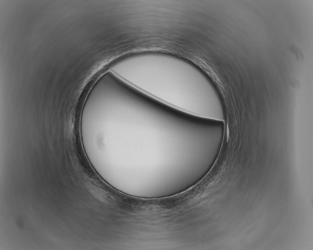 X0000110890483200906181009