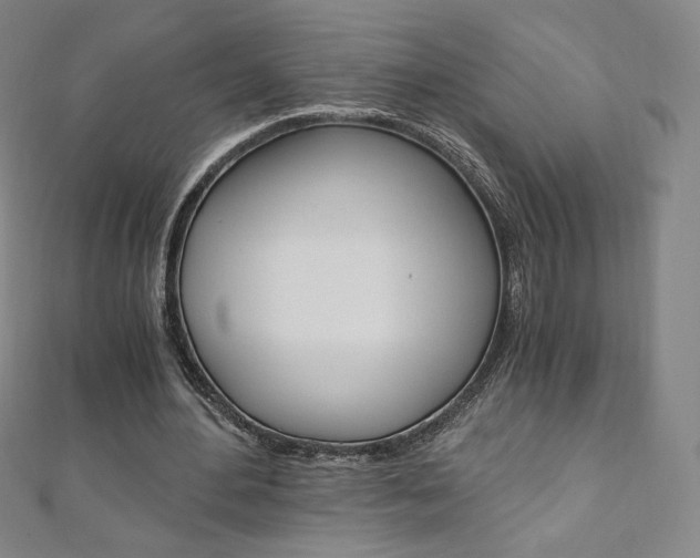 X0000110890484200906181009