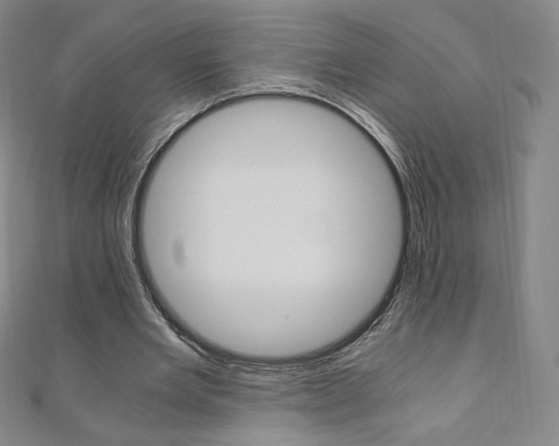 X0000110890485200906181009