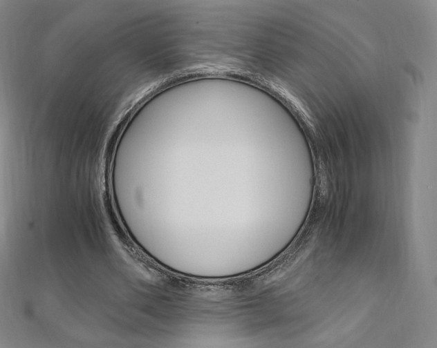 X0000110890486200906181009
