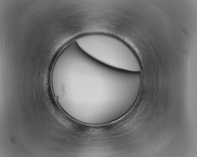 X0000110890487200906181009