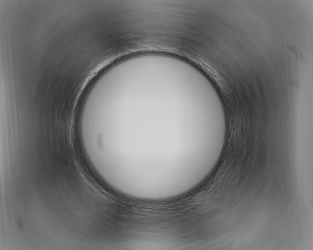 X0000110890488200906181009