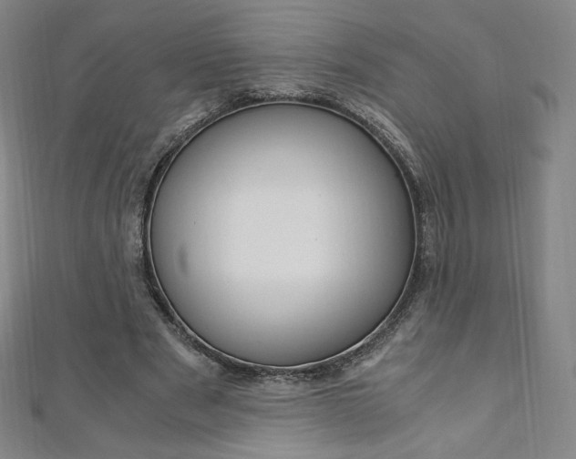 X0000110890489200906181009