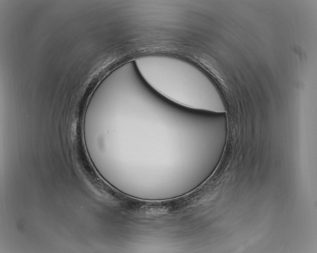 X0000110890491200906181009