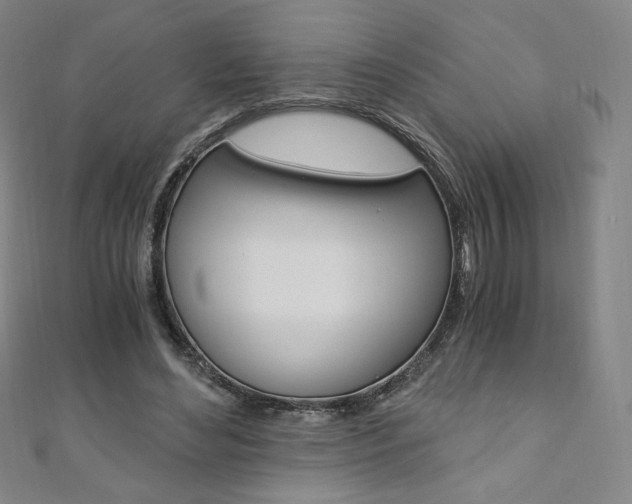 X0000110890492200906181009