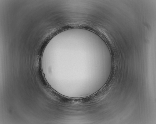 X0000110890495200906181009