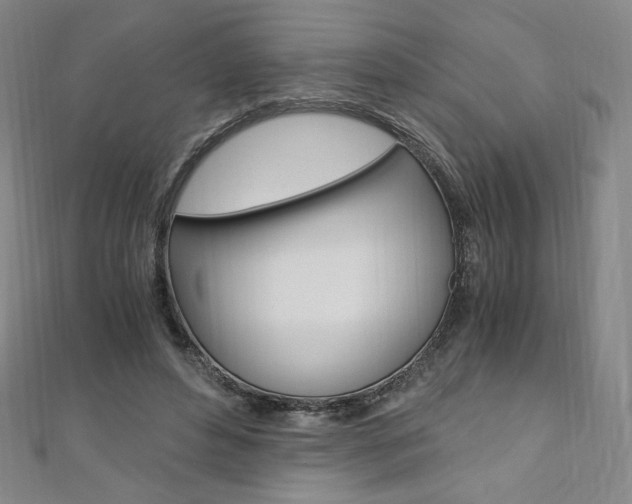 X0000110890496200906181009