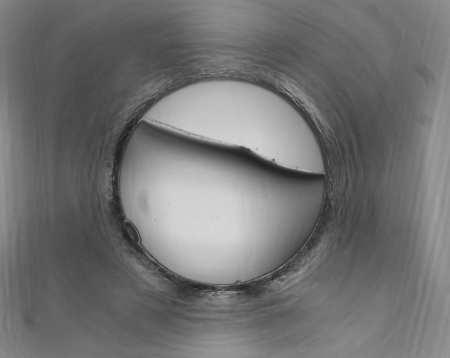 X0000110890497200906181009