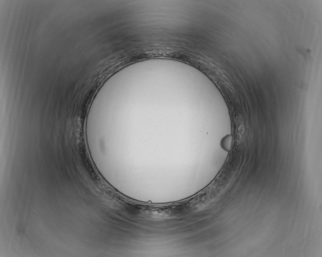 X0000110890498200906181009