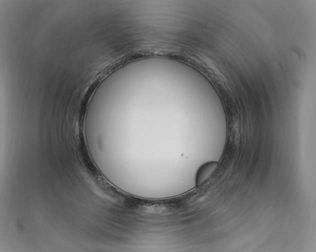 X0000110890500200906181009