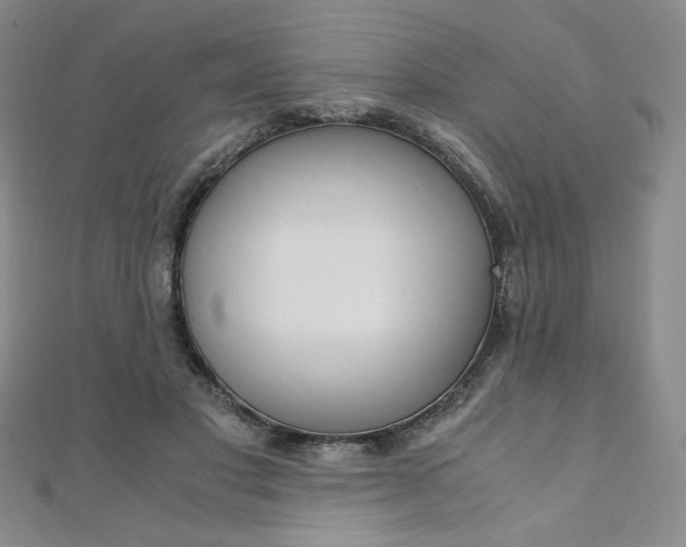 X0000110890501200906181009