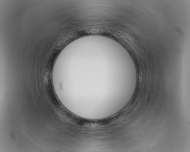 X0000110890503200906181009