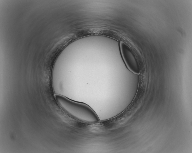 X0000110890505200906181009