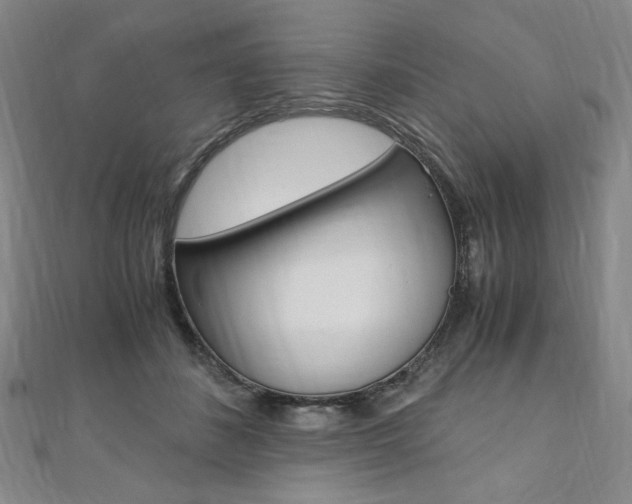 X0000110890508200906181009