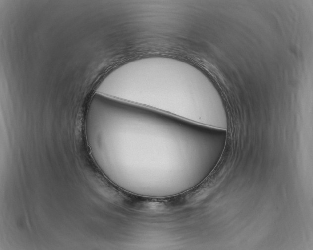 X0000110890509200906181009