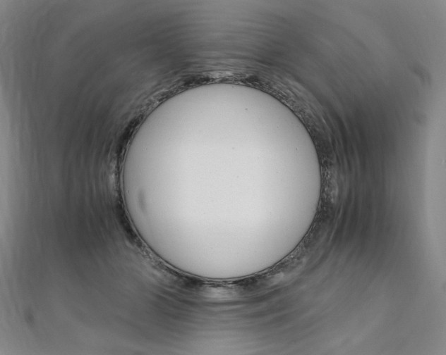 X0000110890510200906181009