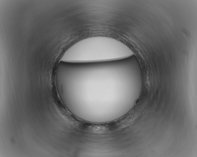 X0000110890512200906181009