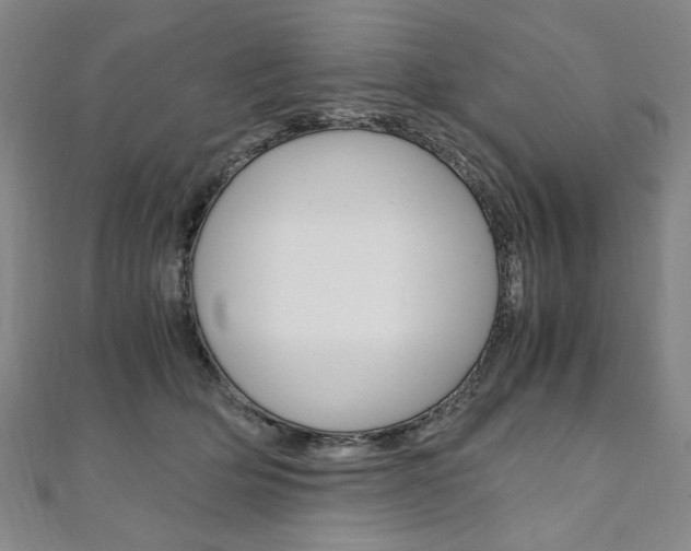 X0000110890514200906181009