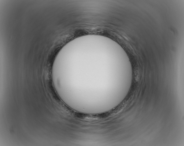 X0000110890515200906181009
