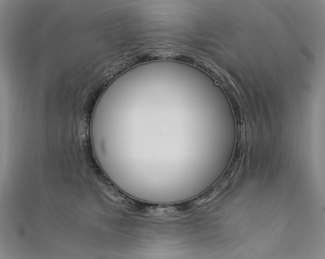 X0000110890517200906181009