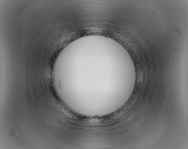 X0000110890518200906181009