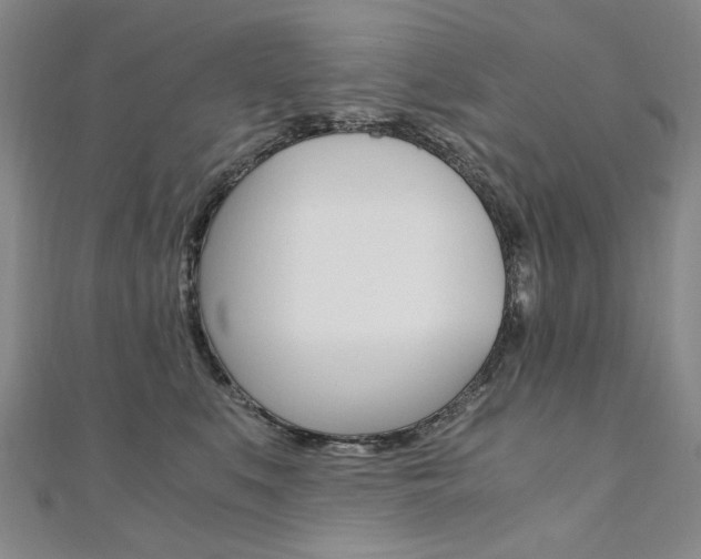 X0000110890519200906181009