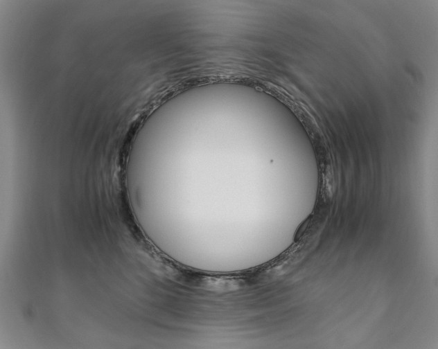 X0000110890520200906181009