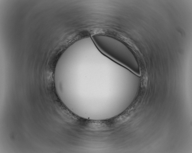 X0000110890521200906181009