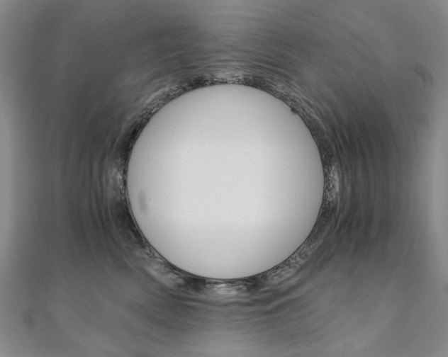 X0000110890522200906181009