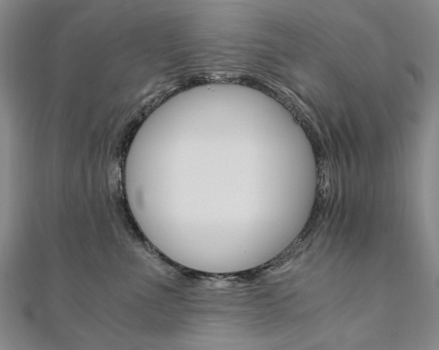 X0000110890523200906181008