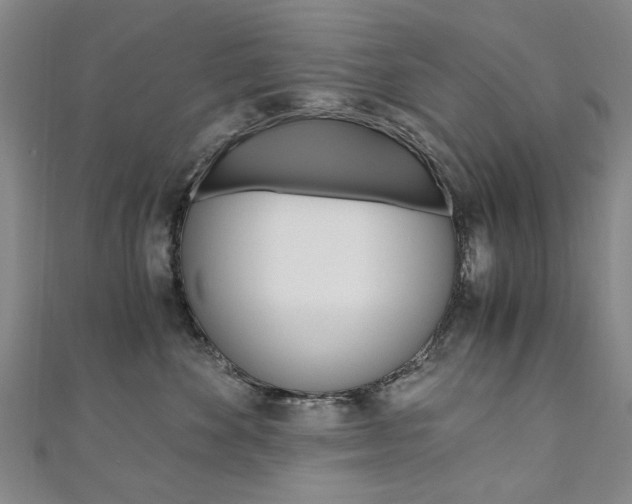 X0000110890524200906181008