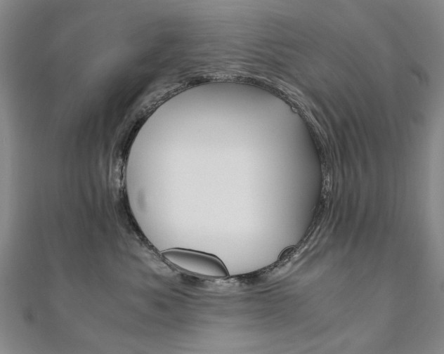 X0000110890525200906181008