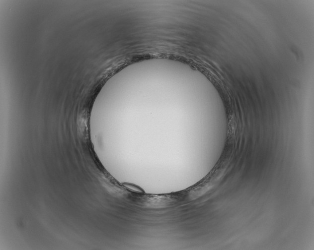 X0000110890527200906181008