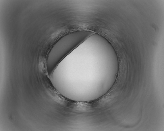 X0000110890528200906181008