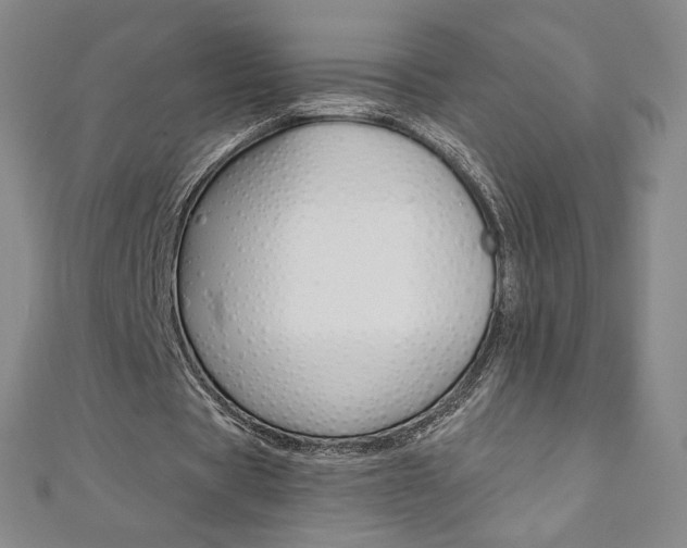 X0000110890529200906181008