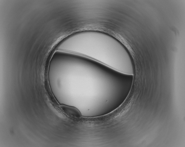 X0000110890530200906181008