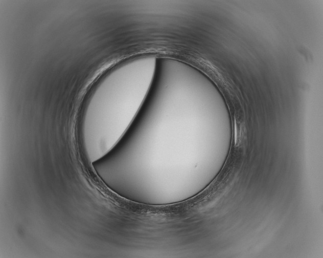 X0000110890531200906181008